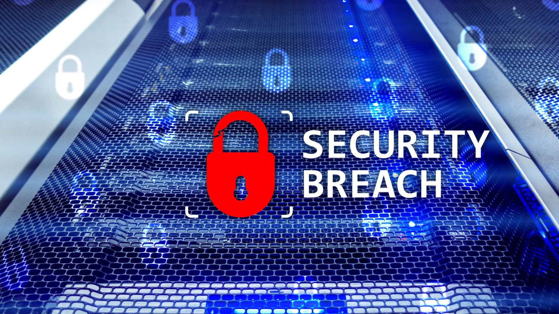 What to do if you’re caught in a data breach Image