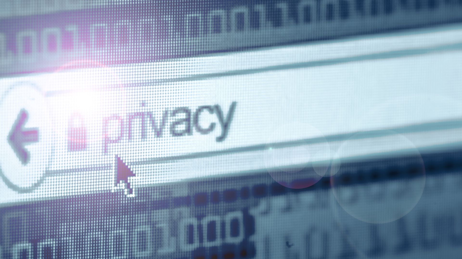 Phishing and Protecting Privacy Image