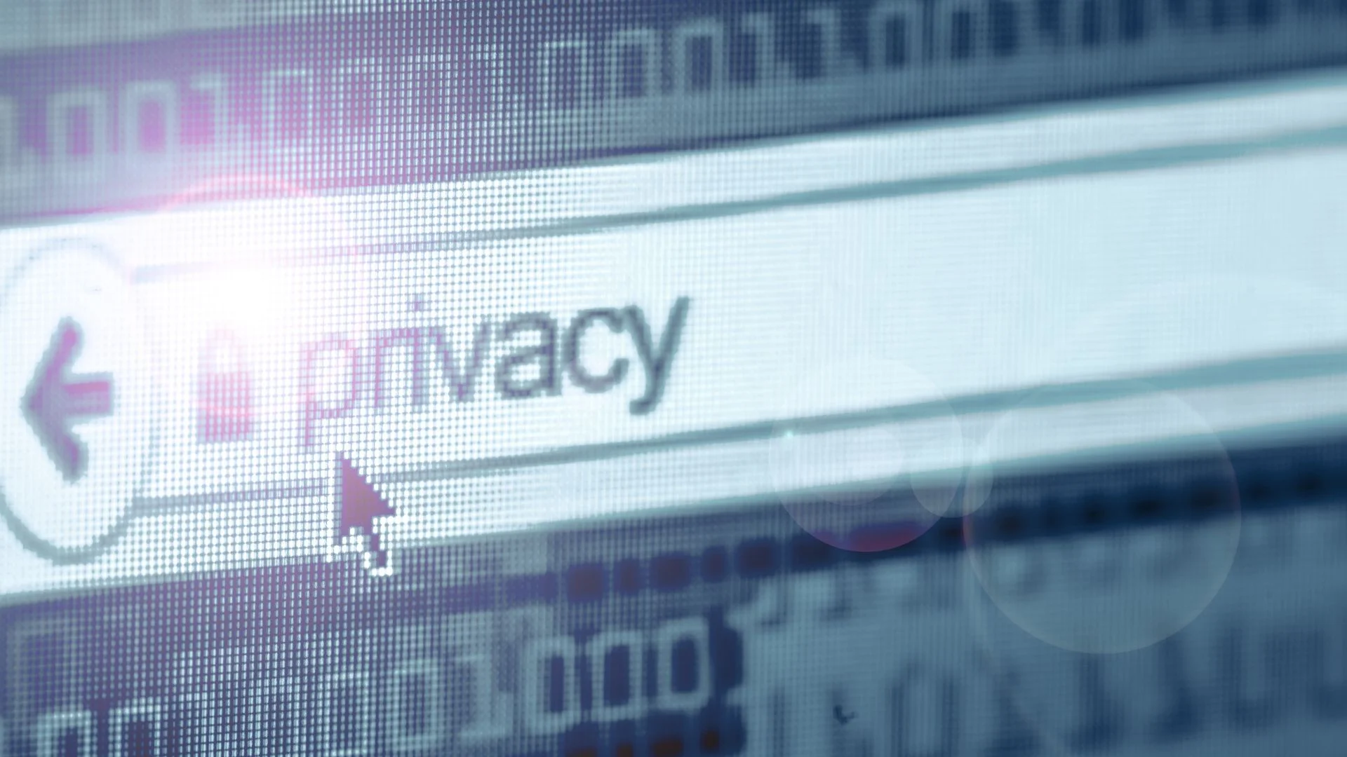 Phishing and Protecting Privacy Imagge